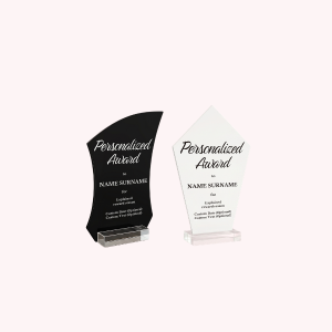 Custom Crystal Acrylic Trophy