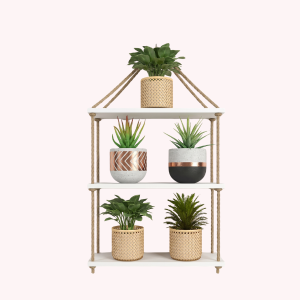 Decorative Wall Hanging Shelf