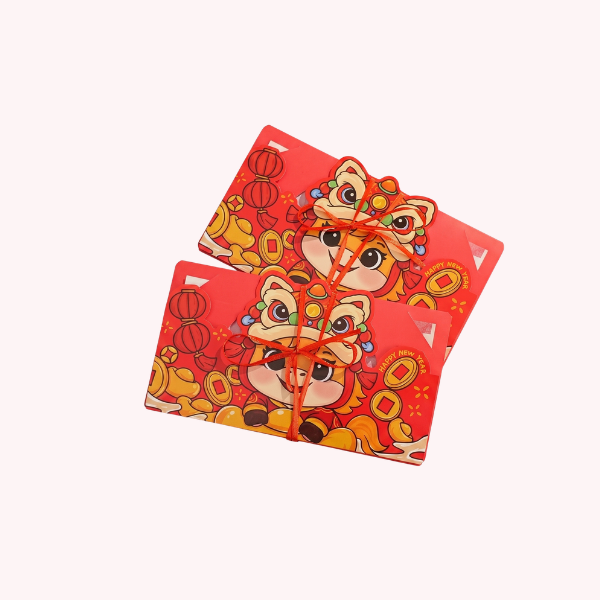 Money Bag Folding