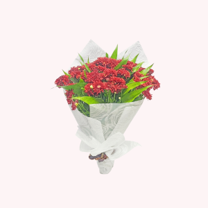 Red Chrysanthemum Bouquet