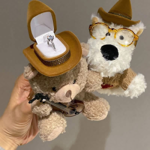 Plushie Ring Box